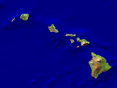 USA-Hawaii Satellite + Borders 800x600